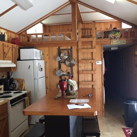 Cozy Cabin On The Bayou Maurepas Εξωτερικό φωτογραφία