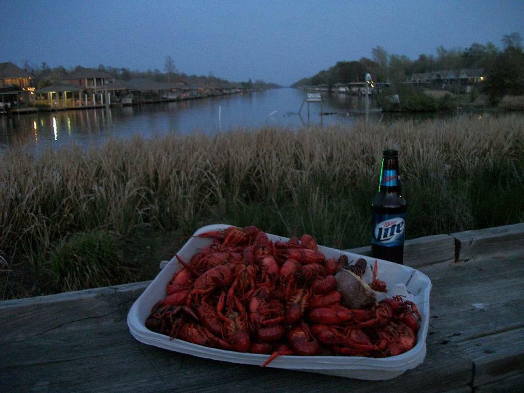 Cozy Cabin On The Bayou Maurepas Εξωτερικό φωτογραφία